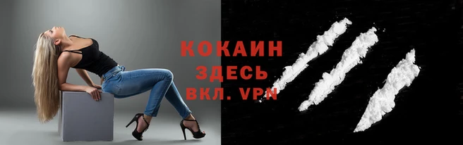 spice Чекалин