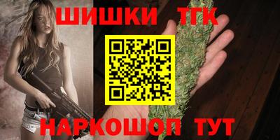 твердый Бийск