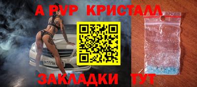 твердый Бийск