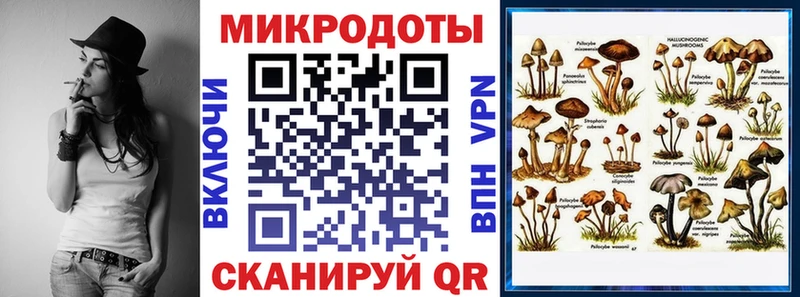 Псилоцибиновые грибы мицелий Дубна