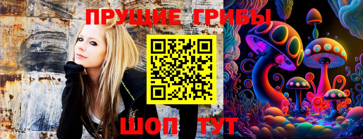 Галлюциногенные грибы Psilocybe  Дубна 