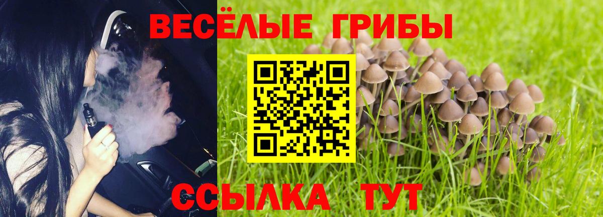Псилоцибиновые грибы Magic Shrooms  Вход с VPN  Дубна 